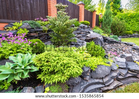 Landscape design in home garden close-up, beautiful landscaped garden with plants, bush, rocks and small fountain. Nice landscaping of residential house backyard in summer. Nature and stones theme. Royalty-Free Stock Photo #1535865854