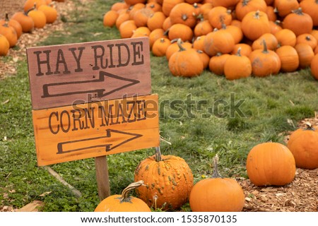 Hay ride and corn maze sign with orange pumpkins in the fall