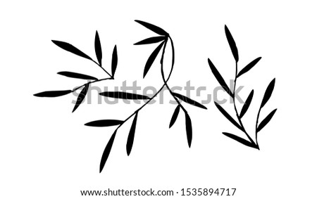 branches isolate. twigs on a white background. decor design element for postcards. leaves, plant. decorative element