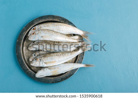 Fresh catch Red mullet on a blue background. Black Sea Fish Sultanka.