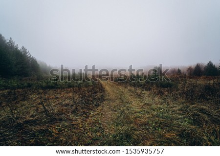 pictures of autumn forrest in Russia