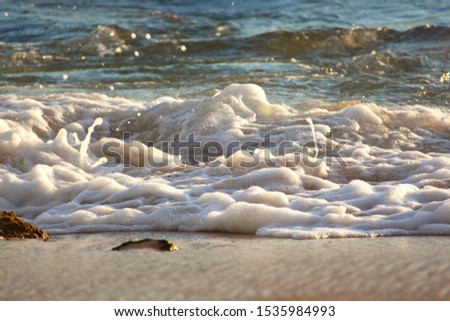 Foaming water splashing on the shore