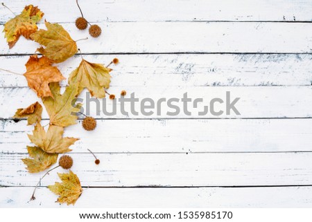 autumn yellow leaves over wooden background
