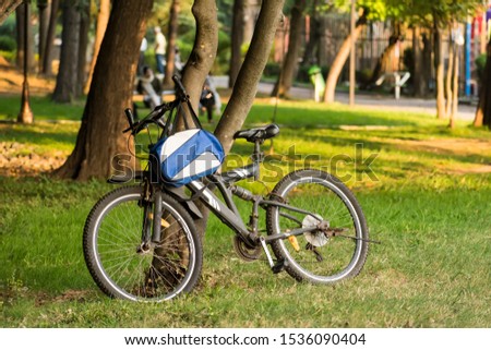 A bicycle laid on tree trunk at park outdoor area  grass field
