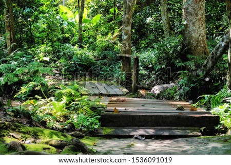 Wood walkway in rain forest with natural background.