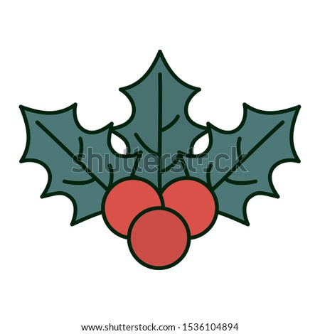 holly berry decoration celebration merry christmas vector illustration