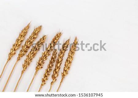 Decorative spikes of wheat gold colored on light. Golden painted ears metallic colored. Creative layout with copy space. Rich harvest concept. 