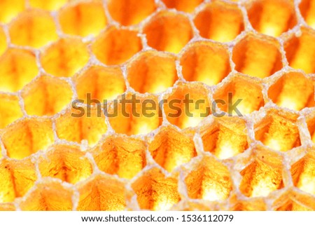 close up golden texture of bee hive background
