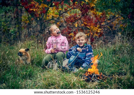 Children fry marshmallows by the fire in the autumn forest . Children's outdoor recreation