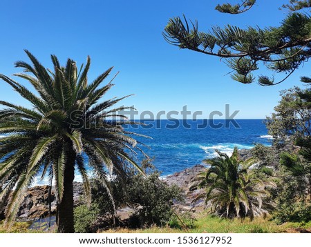 Palm sea blue water and clear sky scenic panoramic nature landscape photography 