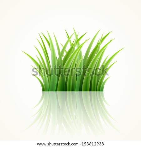 Highly detailed vector grass illustration.