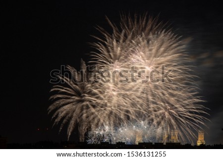 fireworks at night with black sky
