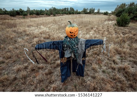 A scary scarecrow with a halloween pumpkin head in a field in cloudy weather. Halloween background, copy space