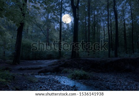 In a romantic forest in the middle of Germany, the full moon shines through the trees at night on a babbling brook.