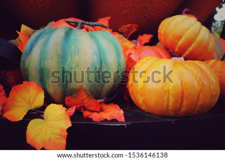 Decorative green and orange pumpkins on display in Halloween. Vintage style picture. Interior and Halloween day concept.