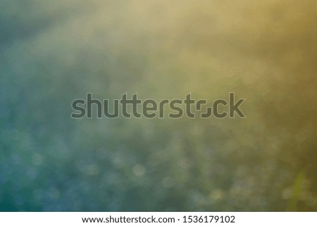 Abstract light background of blurred bokeh on a natural background of blue grass