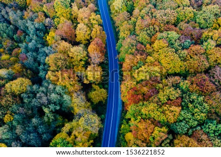 Drone view of a forest and a serpentine road in autumn with colorful trees