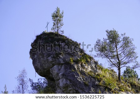 white rocks and colored trees in warm and Sunny autumn. nature reserve in the mountains. natural beauty, outdoor activities