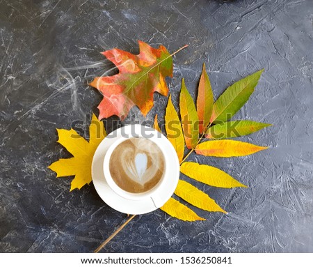 cup of coffee autumn leaf on concrete background