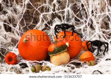 decorations for halloween: pumpkins, web and spiders