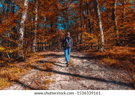 Traveler with a backpack and camera walks along a forest path