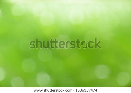 Blurred green bokeh for the background