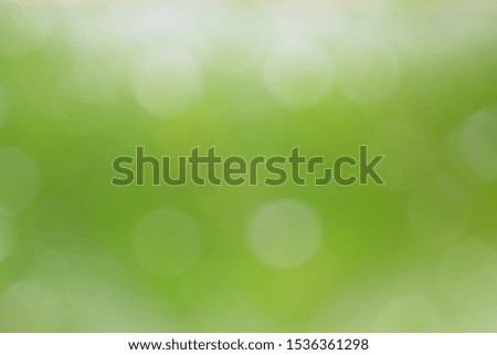 Blurred green bokeh for the background