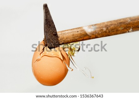 splashing egg on white background