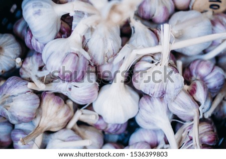 Lots of purple and white garlic at the vegetable market. Beautiful image for harvest festival poster, seasonal wallpaper, vegetarian healthy food blog, vegan website banner, promotional materials.