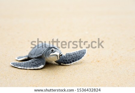 Little turtle on a white beach