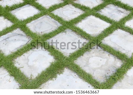 high angle view of square grid block concrete stone or marble tile walkway pavement floor with green grass in garden, Use for background and texture.
