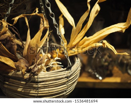 Dried leaves in the hanging basket Royalty-Free Stock Photo #1536481694