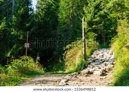 Signs in the forest in the Tatra Mountains.