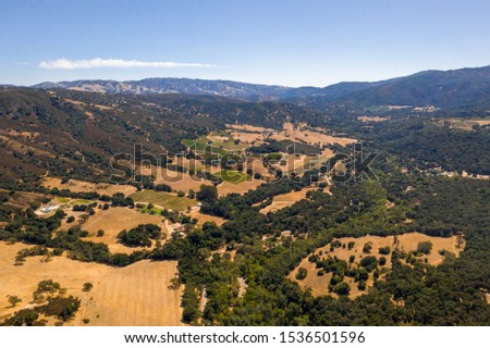 A panorama of California oak grassland and mustard wildflower field in summer, in Calero Park, near Big Sur and Monterey.