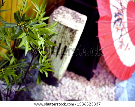 Japanese style garden with Japanese umbrella and bamboo Royalty-Free Stock Photo #1536523337
