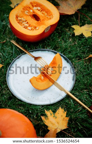 cut pumpkin on a plate with cutlery on green grass