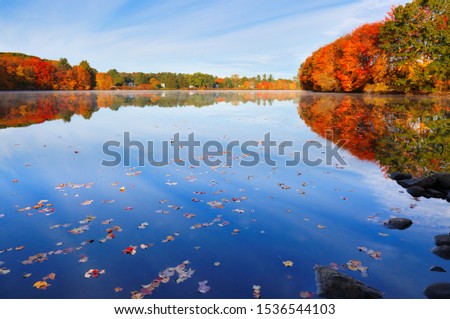 Beautiful Fall Foliage of New England at sunrise, Boston Massachusetts.