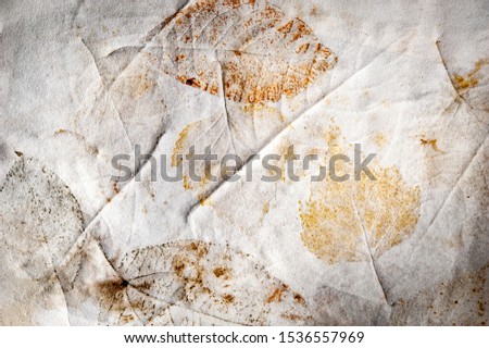 Real texture of the prints of plant leaves on crumpled paper. Not an art. Simple background.