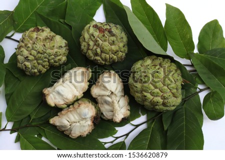 Ripe Sitaphal or Custard Apple or Sweetsop or Sugar Apple with Leaves Isolated on White Background