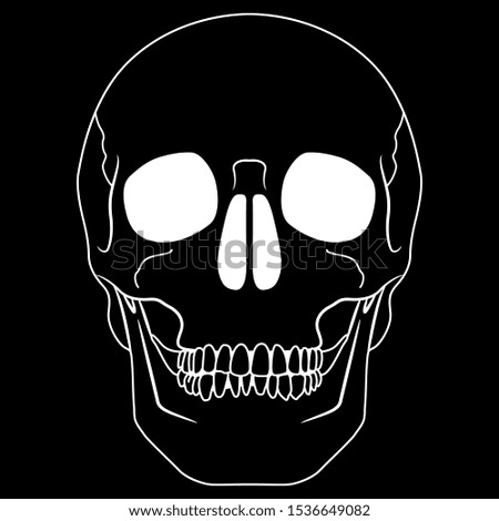 Human skull. Black and white linear silhouette. Isolated vector illustration.