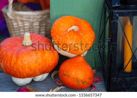 Pumpkins, autumn leaves and  vintage lamp with orange candle. Fall composition.
