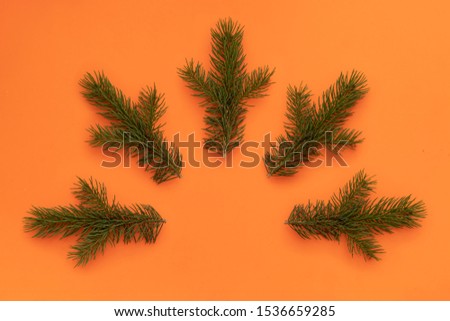 Creative Composition Useful for Christmas and New Year Greeting Cards. Five Green Pine Branches Forming Semi Circular Arch