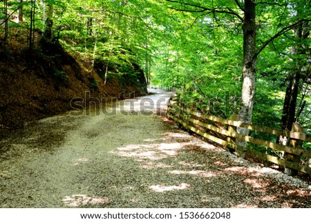 Typical landscape in the forests of Transylvania, Romania. Green landscape in autumnr, in a sunny day