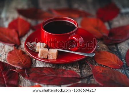 Autumn Coffee cup and coloured autumn maple leaves