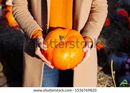 Young woman in sweater and coat is holding halloween pumpkin on nature harvest background. Fall autumn concept. Autumn season. Fall color, orange, red and yellow.