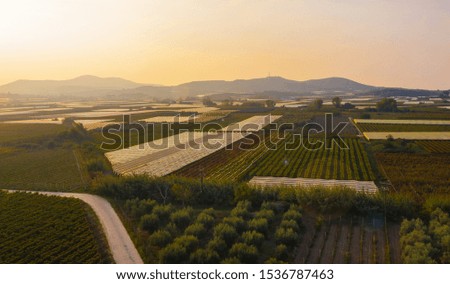 Aerial view of vineyards and fields in the countryside against sunset.