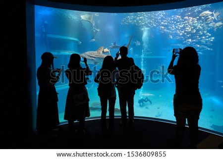 Huge aquarium with sharks, unrecognizable people standing in front taking pictures with phone cameras, divers cleaning the tank