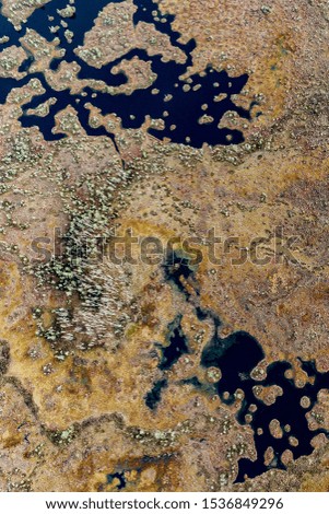 Wetland, aerial photography. Swamps on earth