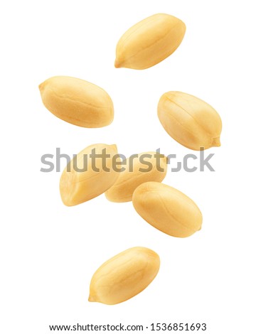 Falling peanut isolated on white background, clipping path, full depth of field Royalty-Free Stock Photo #1536851693
