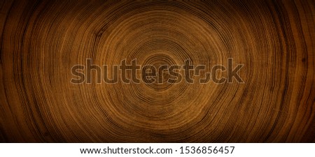 Detailed warm dark brown and orange tones of a felled tree trunk or stump. Rough organic texture of tree rings with close up of end grain. Royalty-Free Stock Photo #1536856457